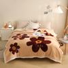 Raschel Autumn and Winter Thick Blanket