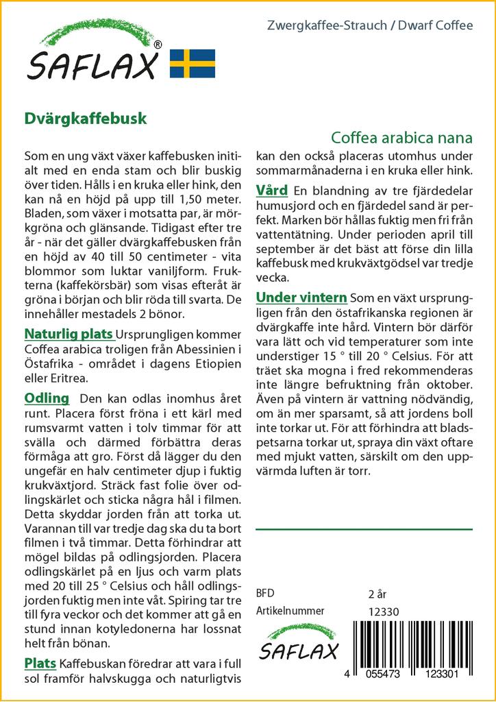 SAFLAX Кофе Карлик - 8 семян - Coffea arabica nana