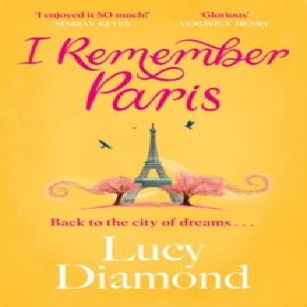 I Remember Paris by Lucy Diamond Paperback Book 9781529432954
