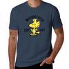 Cool dog  funny dog Tshirt heavyweights Short sleeve tee for a boy customizeds Mens cotton tshirt