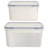 Продление свежести Герметичный контейнер для фруктов Контейнер для сохранения свежести Легко открывающаяся и закрывающаяся крышка Пищевой полипропилен