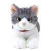 Sun Lemon Lap Cat Sabashiro Small 13 x 36 x 15cm Plush Animal Cute Cat P-7812