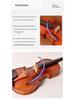 2026 Violin & Cello F-hole Humidifier: Anti-cracking Moisturizer for Sound Panels.