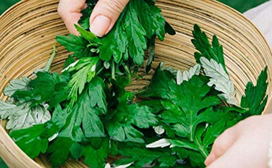 Fukubi Water Органический хлопок Набор лосьонов 2 x 30 Хлопок FUKUBISUI Для лица и тела Большой увлажняющий дозатор Для чувствительной и сухой кожи (500 мл + Подушечки) Лосьон,