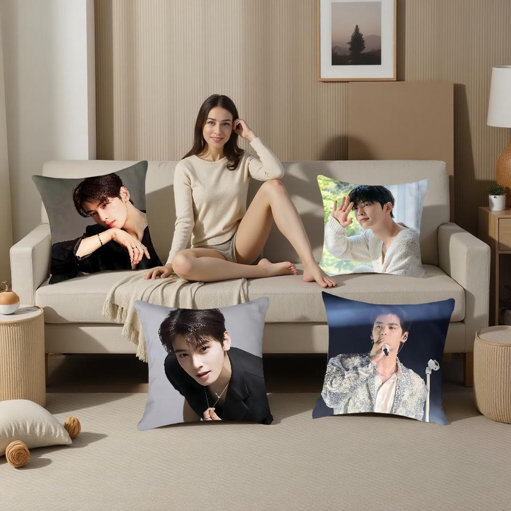 Чехол для подушки K-pop певца Ча И-Ын У-У Плюшевая ткань Мягкий Чехол для подушки Двусторонний принт Чехол для подушки Подушка для дивана