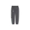 Спортивные брюки Calabasas Чернильные мужские штаны Grey Wolves DY0567