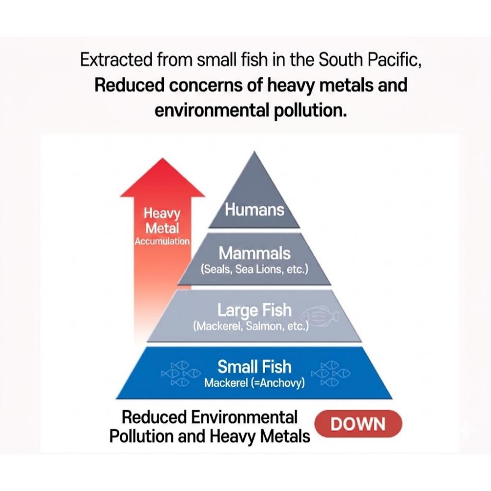 [Chong Kun Dang] Pro Mega Omega3 Triple 60ea