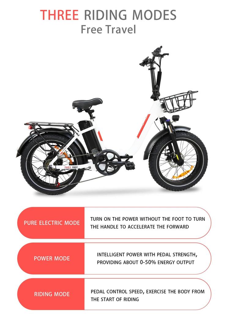 DZ2030 E-Bike 800W Motor 48V16AH Removable Battery Food Delivery Electric Bicycle 20*4.0 Fat Tire Adult Delivery Electric Bike