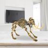 Dinosaur Skeleton Bones Model Toy Children Learning Educational Toys#2