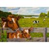 DIY Cow 5D Diamond Painting Full Round Mosaic Animal Diamond Embroidery Cross Stitch Kits Wall Sticker Home Decor