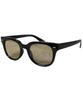 Wellington Sunglasses for Comes with Brown F (EIGHT) Men, Photochromic, Polarized, Case, Black/Light