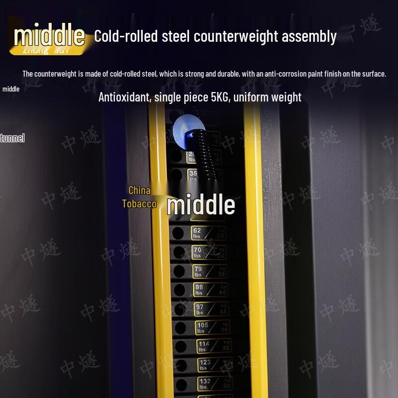 EM1081 Commercial Inner & Outer Thigh Dual Trainer