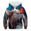 Kids Boys Girls Pullover Hoodie Animal Cat Long Sleeve Sweatshirt Children Casual Hoodies Child Pullover Tops Clothing