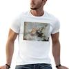 Figure of the Royal Magnificence Immortality and Progress in the Fine Arts Object type  Ren Antoine Houasse TShirt