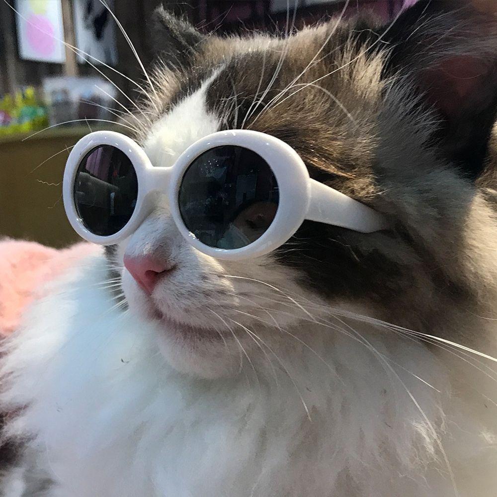 Cat Pet Products Pet Glasses Photos Props Cat Eye-Wear Pets Party Decor Cat Glasses Cat Sunglasses