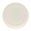 Showa Izawa Corporation Lightweight Tableware TLP Rim Band Plate WH 9 037927