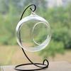 Ball Hanging Tealight Holder Transparent Glass Planter Succulents Plant Ball Container  Hydroponics