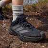 Terrex Freehiker SL Gore-Tex Черный Серый Шесть