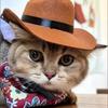 Breathable Pet Cowboy Hat Cute Cosplay Cap Bandana Pet Supplies Cats Triangle Scarf Halloween