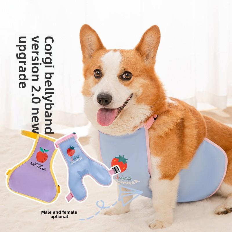 Pet Corgi Special Belly Pocket Belly Protection Clothes Puppy Dog Dog Водонепроницаемый дождевик Anti-Dirty и Anti-Folde Summer Thin