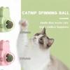 Rotatable Catnip Ball Interactive 360° Cat Toy Durable Entertainment Plastic Material Decompression Toy Green Wall-mountable