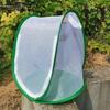 Insect Cage Foldable Easy To Carry Green Insect Mesh Cage Terrarium for Garden