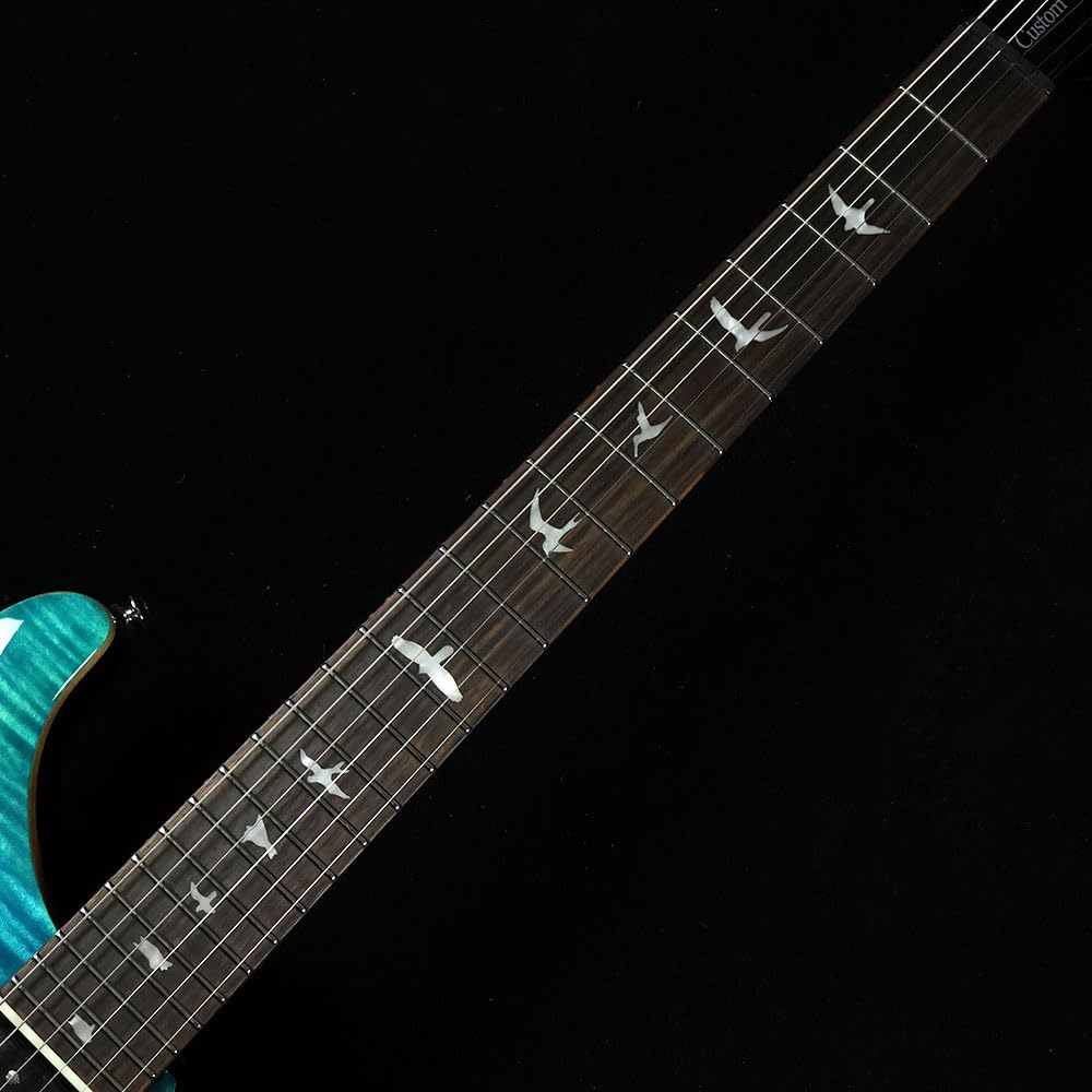 SE Custom24 Blue Matteo