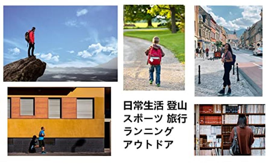 Lancardo Nurse Watch Pocket Watch Analog Luminous Carabiner Silver 1 Men's Women's