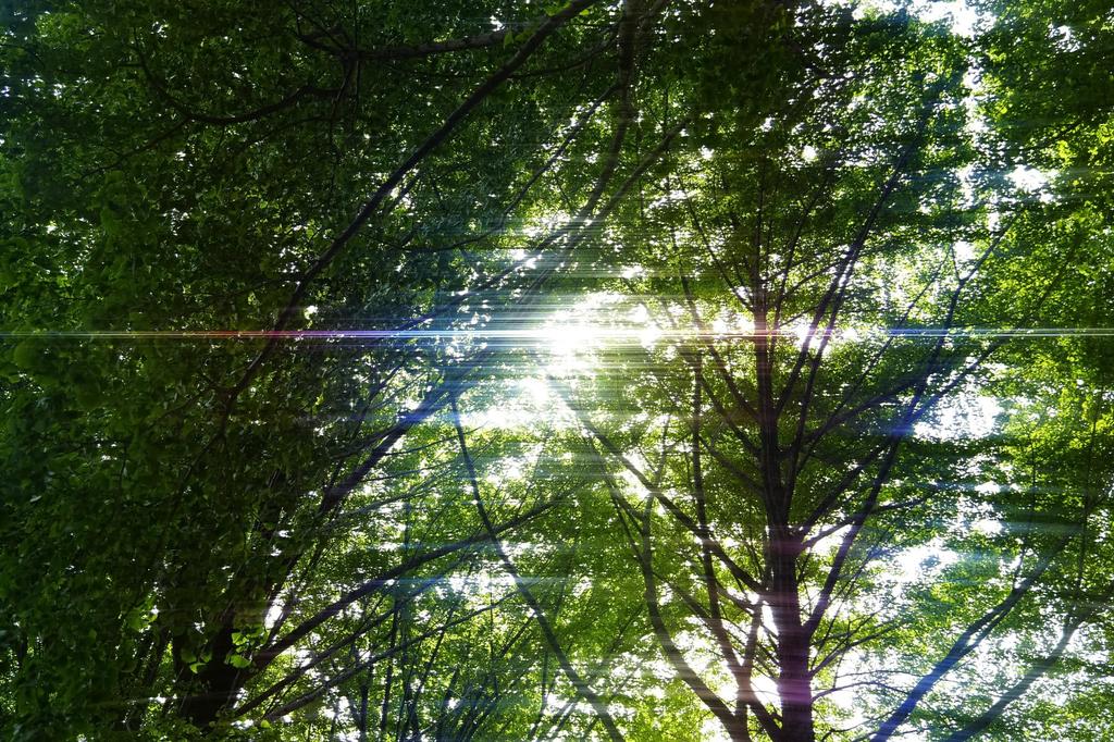 Фильтр объектива Kenko Anamo Flare Rainbow 82 мм со световым эффектом и вращающимся механизмом, водоотталкивающее покрытие, сделано в Японии, 549797, защита от воды и масла