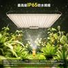 Plant Growth Light LED 60W Panel Heat Dissipation Warm White 256 LED Full Spectrum Long Life Quantum Lamp Indoor Cultivation Lamp Succulent