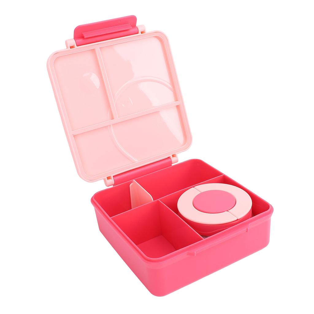Lunch Container with Handle Sealed Multi Compartments Dishwasher Safe Lunch Box Container for Office School Roseate