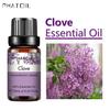 PHATOIL 5ml/10ml/15ml/30ml/100ml Clove Pure Fragrance Oil Antibacterial Essential Oil Deworming Air Freshener Aromatherapy Spa Body Care