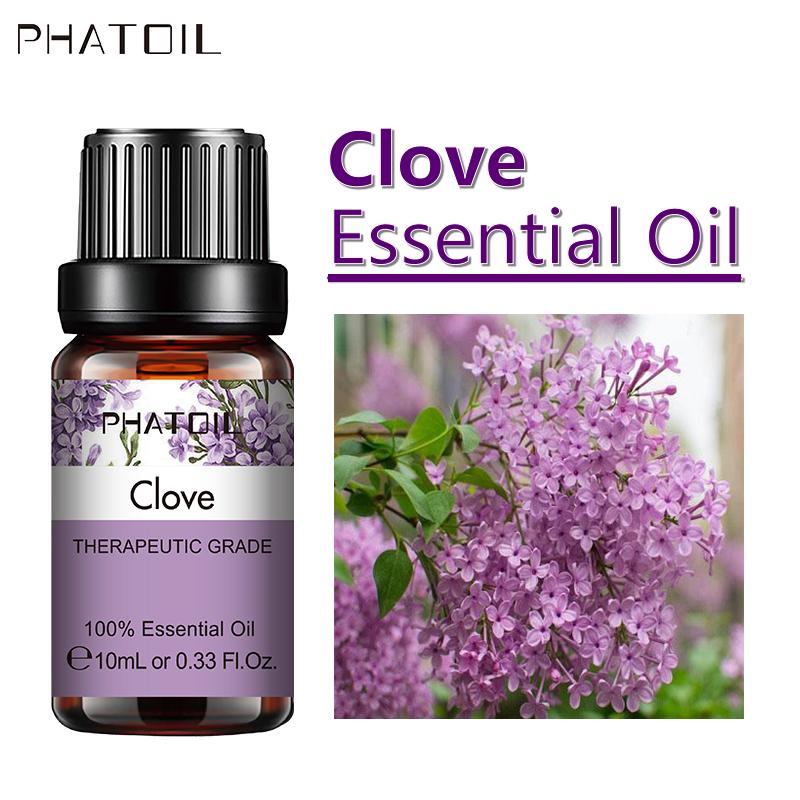 PHATOIL 5ml/10ml/15ml/30ml/100ml Clove Pure Fragrance Oil Antibacterial Essential Oil Deworming Air Freshener Aromatherapy Spa Body Care