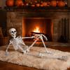 Poseable Halloween Prop 3ft Life Size Skeleton, Full Body Posable Plastic Skeleton Prop, Realistic with Movable Jaw Human Bones Model for Yard