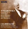 CD ЧАЙКОВСКИЙ / ЧЕЛИБИДАКЕ - Чайковский: Симфония № 6  ARPCD0388 Япония Классика Б/У