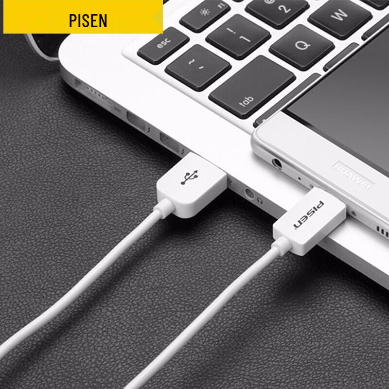 Pisen USB-A to Type-C 2A Fast Charging Data Cable