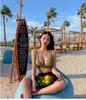 Sexy deep V swimsuit women's small breasts gather Korean version ins Spice Girl style triangular split high waist to cover the belly and show thinness