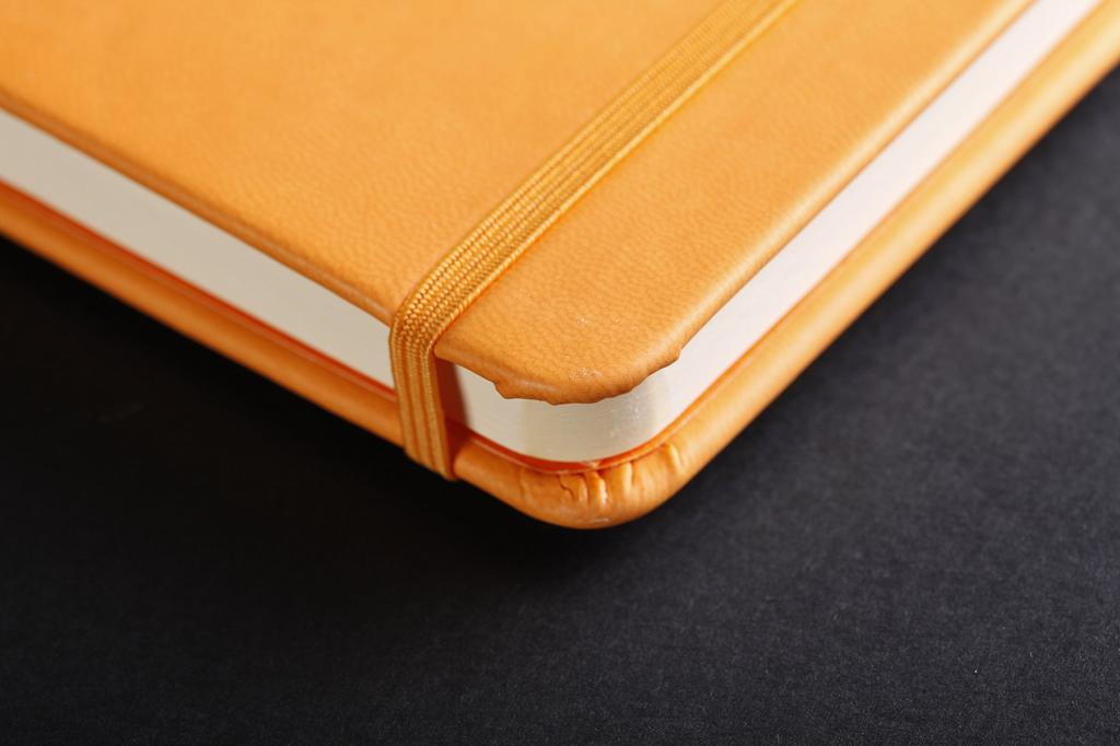 Rhodia WEBNOTEBOOK Landscape Notebook, A5, Dot Ruled, Orange, Cf118048