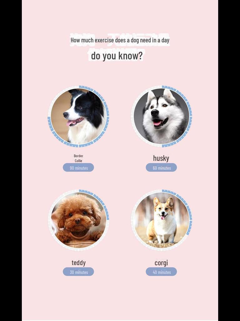 Светодиодный выдвижной цветной светящийся поводок для собак средних и крупных пород