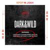 BTS Первый полноценный альбом [DARK & WILD]