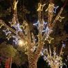 LED Solar Lights String Small Lights Holiday Lights Garden Decoration Lights Outdoor Lighting Waterproof String Lights