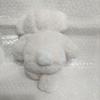 [USED] Cheeky Bear Teddy Bear White