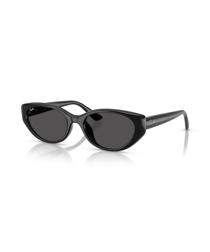 Leibaen Rb4457D Sunglasses - 667787 / 0Rb4457D667787