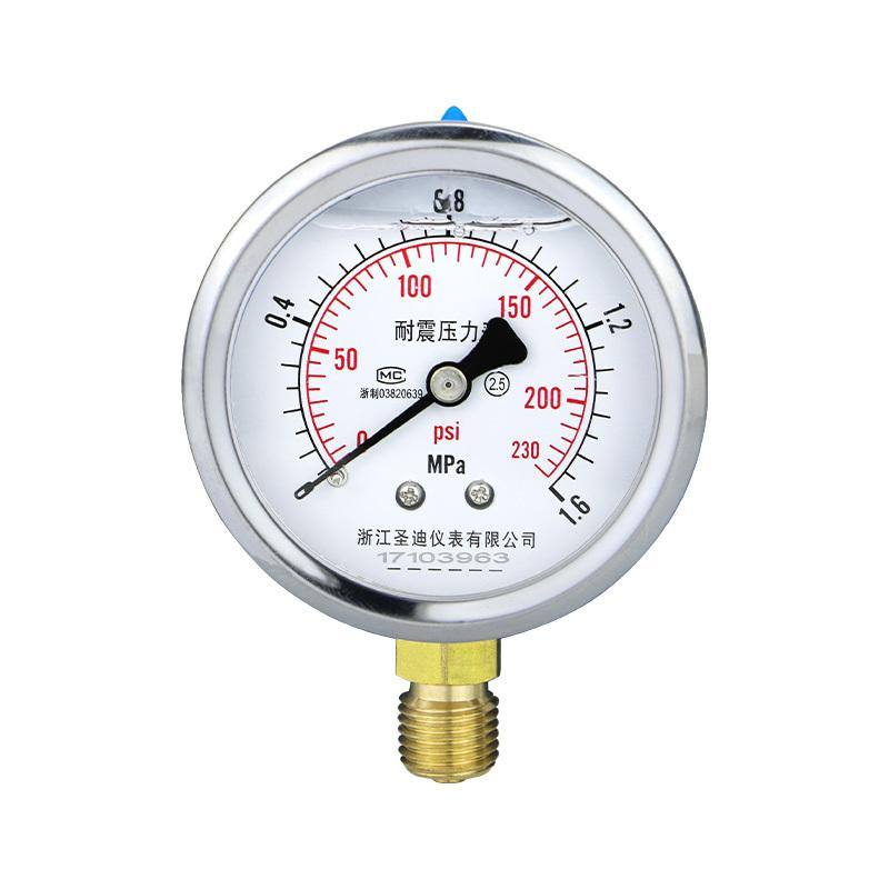 MAIRUIKE Glycerin Filling Pressure Gauges 62.5mm(2.5 inch) 1mpa Stainless Steel Case Brass Joint Manometer for Water Oil Gas