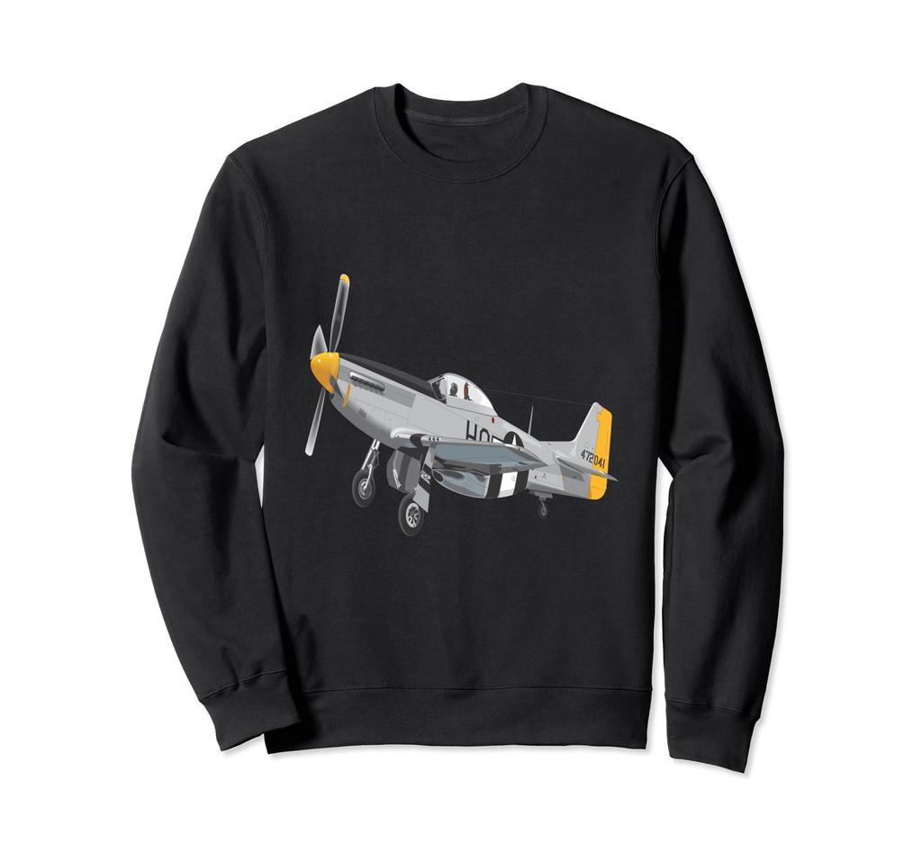 P-51 Mustang World War II Fighter US Military Aircraft Trainer