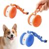 Катающийся Игрушечный Пес 2 Скорости Автоматически Катающийся Игрушка для Питомцев Электрический Интерактивный Игрушечный Пес Мяч с Веревкой для Маленьких Средних Собак Кошек Игра Снятие Скуки