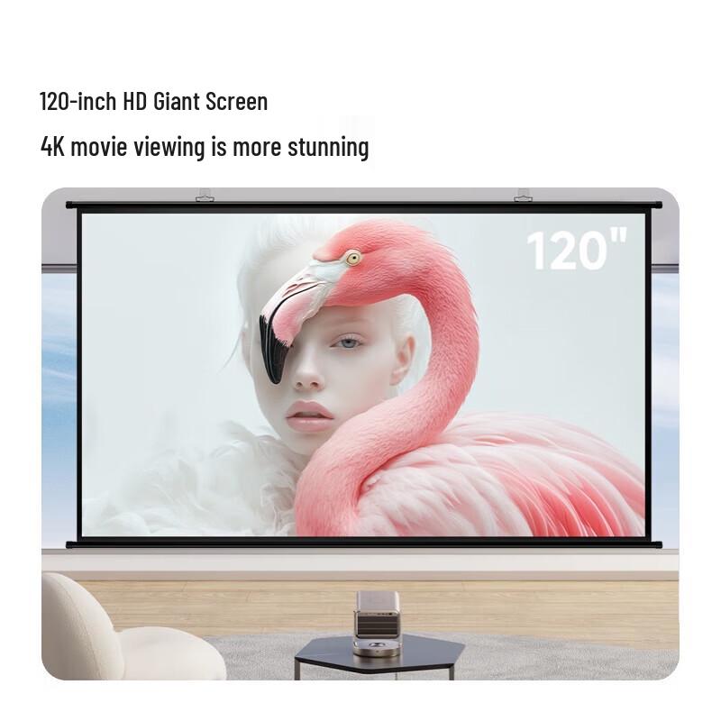 Vidda 120-Inch Wall-Mounted Optical Projection Screen