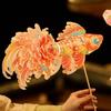 Handmade Handheld Fish Lantern Glowing DIY Lantern Material Kit  Mid-Autumn Festival