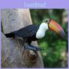 Simulated Wild Animal Big Billed Bird Ramphastos Toco Model Ornament Toys