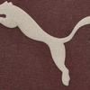 Puma Мужская футболка с графическим принтом, свободного кроя, с коротким рукавом, с круглым вырезом, в стиле бокси, утилитарная, 698701-33